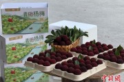 梦见去世高速赋能产业升级：一条“杨梅路”的致富密码