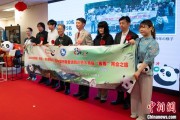 梦见去世中国彩绘熊猫艺术国际巡展东京站开幕