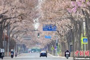梦见去世共建“花园城市” 北京这场议政会“百花齐放”